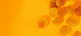 Apricots